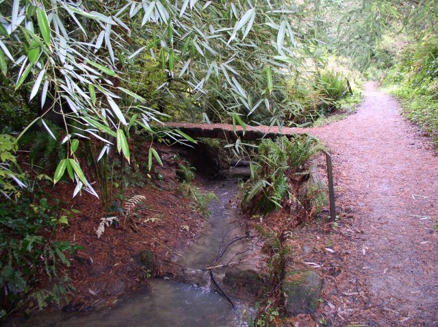 11.13.05 Arboretum-Pittock Mansion-Macleay Park 004 